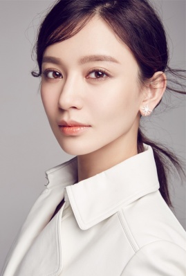 隐秘而伟大丁放介绍,隐秘而伟大丁放施诗演的是谁 - 电视吧