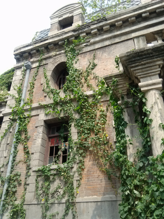 京城81号的演员有哪些