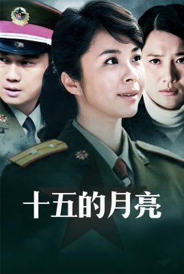 《十五的月亮》剧情介绍(1-30全集)大结局_电视剧 - 电视吧