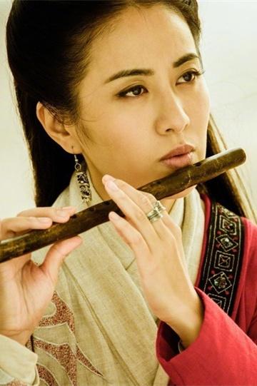龙门飞甲王海介绍,龙门飞甲王海胡东演的是谁