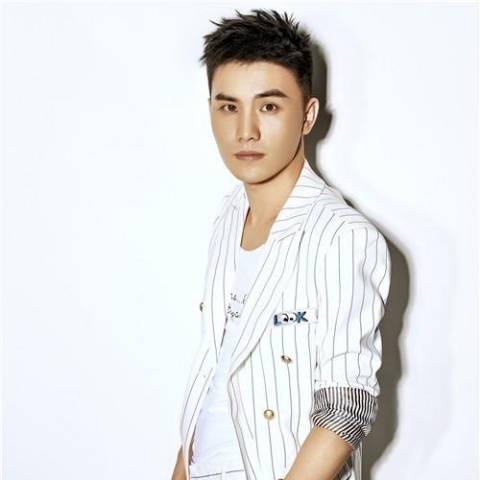 大宋宫词曹利用介绍,大宋宫词曹利用李彦明演的是谁